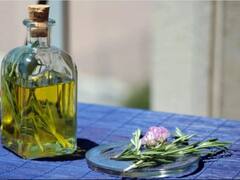 Por qué se toma caña con ruda el 1° de agosto