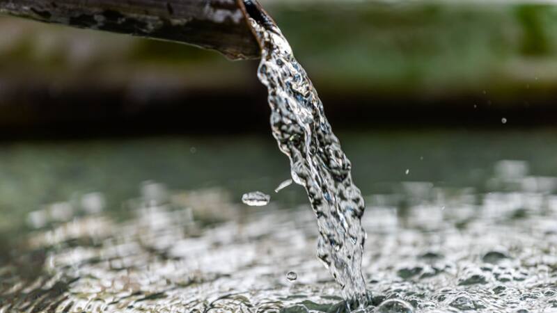 El 2022 ha sido un año seco y el cambio climático está causando serios problemas.