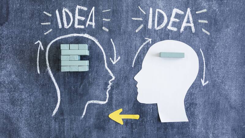 Su capacidad de organización y acceso a la información revela su adaptabilidad y complejidad.