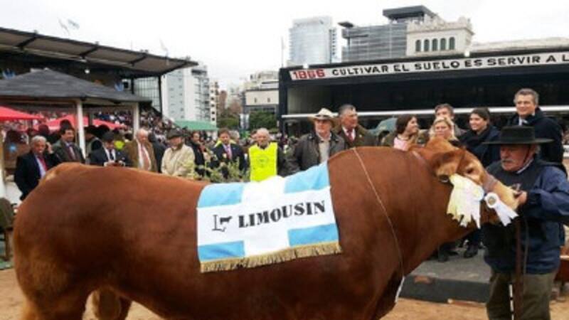 Las juras y concursos serán unas de la atracciones de la muestra