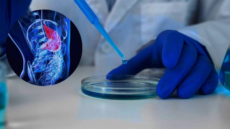 Descubrimiento científico: hallan una nueva terapia para tratar tumores y fortalecer las células. Imagen: archivo.