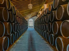 Hizo vino 100 años en la Argentina y ahora lanza vermut, gin y hasta un wishky