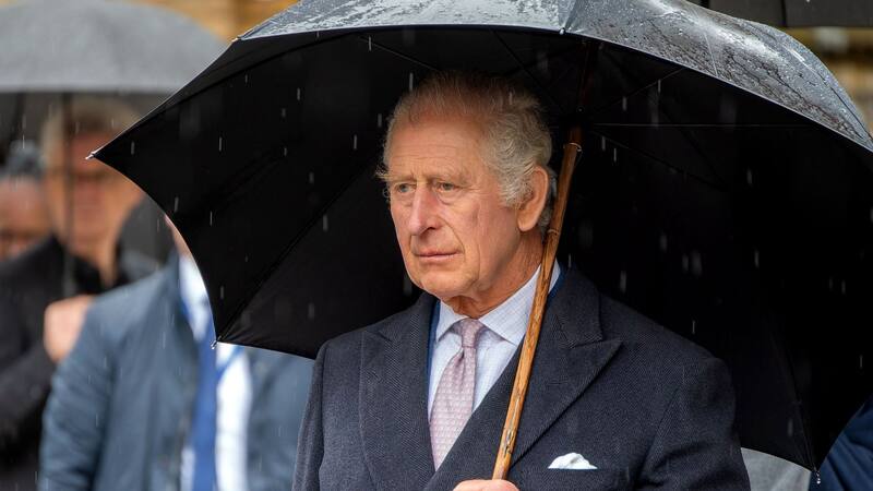 El Rey Carlos III y el Papa Francisco se reunieron días antes de la muerte del Santo Padre.