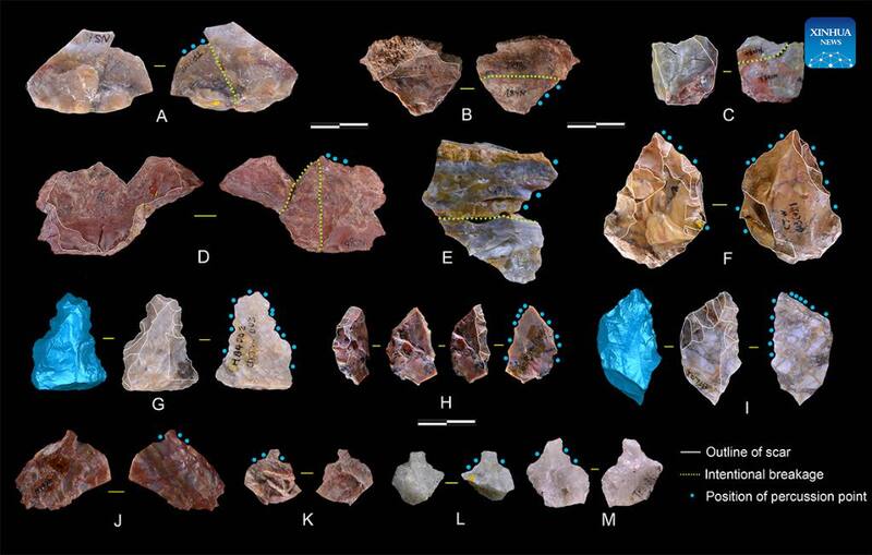 El descubrimiento cambia nuestra percepción de la evolución tecnológica. Fuente: Archivo