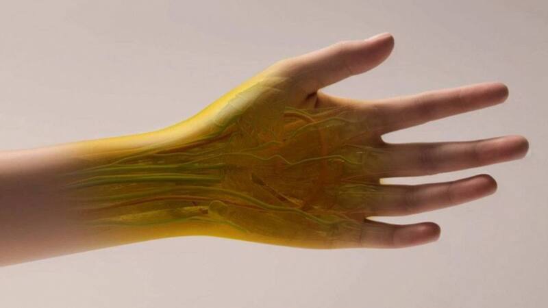 Un paso hacia la medicina del futuro: la piel transparente revela un mundo de posibilidades. Fuente: Keyi "Onyx" Li/U.S. National Science Foundation