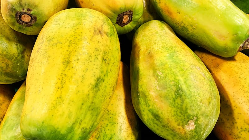 <div class="migrated-promo-image__description"><div class="migrated-promo-image__source">Fuente: ShutterStock</div></div>