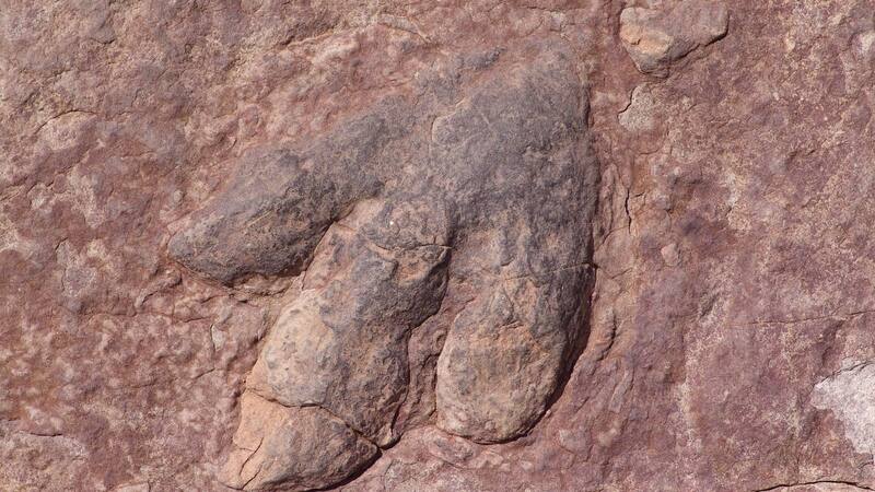 Huellas de dinosaurio de hace 150 millones de años serán convertidas en ceros y unos. Imagen de archivo.