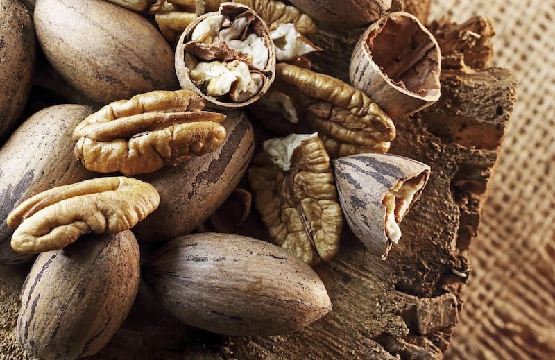 Las nueces pecan son ideales para el sistema cardiovascular al ser ricas en ácidos grasos. (Pixabay)
