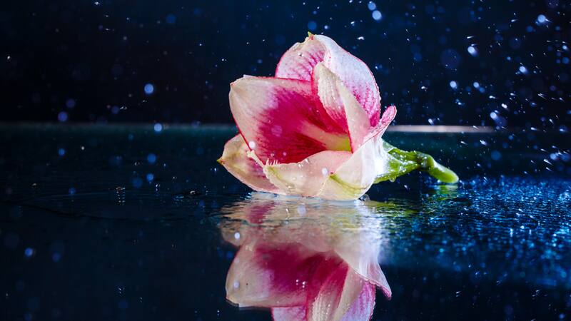 <div class="migrated-promo-image__description"><div class="migrated-promo-image__source">Fuente: Freepik</div></div>