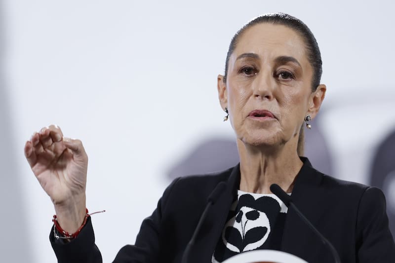 Sheinbaum confirmó que habrá visitas casa por casa a los mexicanos. Fuente: EFE