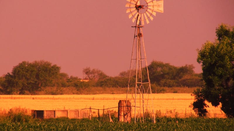 <div class="migrated-promo-image__description"><div class="migrated-promo-image__source">Fuente: Wikimedia Commons</div><div class="migrated-promo-image__author">ANDY ABIR ALAN</div></div>