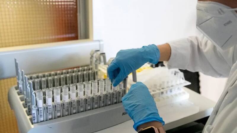 El descubrimiento científico que transforma el tratamiento del cáncer para siempre: hallan un nuevo mecanismo para eliminar células cancerosas.