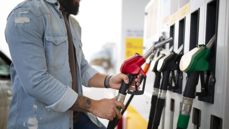 <div class="migrated-promo-image__description"><div class="migrated-promo-image__source">Fuente: Freepik</div></div>