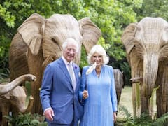 El rey Carlos III y la reina Camila Parker tienen un motivo para brindar y celebrar | Momento histórico para la Corona británica