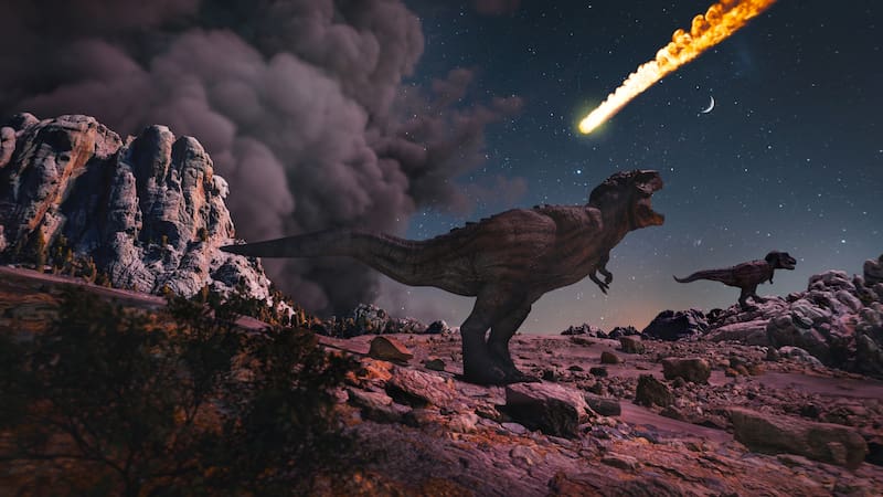 Un estudio reveló el verdadero motivo detrás de la extinción de los dinosaurios.