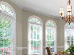 Nanopintura antimicrobiana: una nueva línea de pinturas decorativas que promete revolucionar el mercado