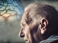 Adiós Alzheimer: los alimentos que tenés que comer para nunca perder la memoria