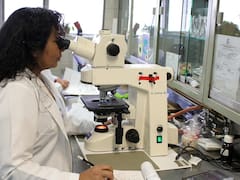 Descifran el cromosoma Y: lo que hallaron no tiene precedentes en la ciencia y medicina