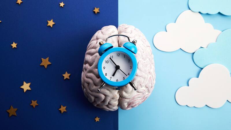 <div class="migrated-promo-image__description"><div class="migrated-promo-image__source">Fuente: Shutterstock</div></div>