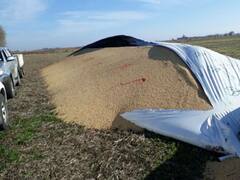 La cadena agroindustrial repudió roturas de silobolsas y reclamó soluciones