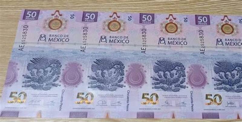 La serie de billetes de 50 pesos con el ajolote ha ganado reconocimiento internacional por su diseño artístico. Foto: archivo El Cronista México.
