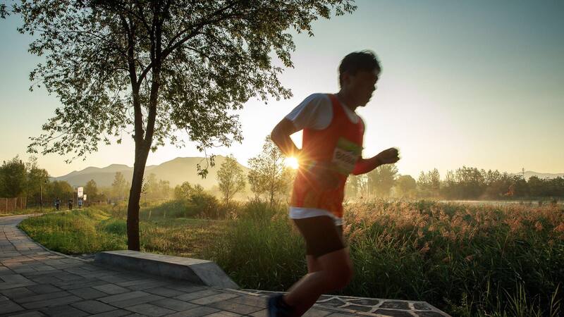 La cantidad exacta de horas que tienes que caminar para bajar de peso.