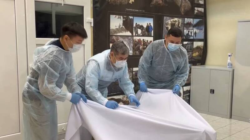 Ejemplas del mamut bebé hallado. Fuente: EFE.