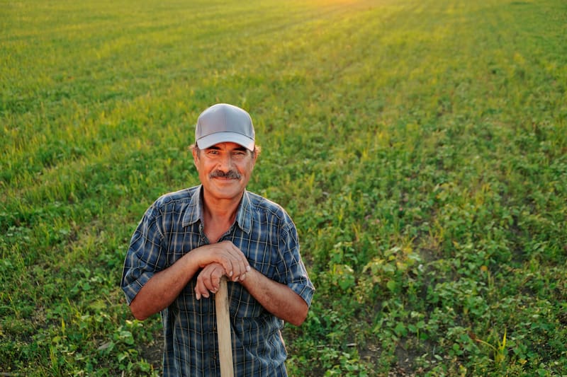 Se trata de un programa que busca contribuir al bienestar de sembradoras y sembradores a través del impulso de la autosuficiencia alimentaria. Fuente: Shutterstock.