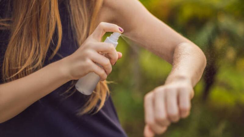 Estas soluciones caseras no solo son económicas y fáciles de preparar, sino que también ofrecen una alternativa natural a los repelentes.