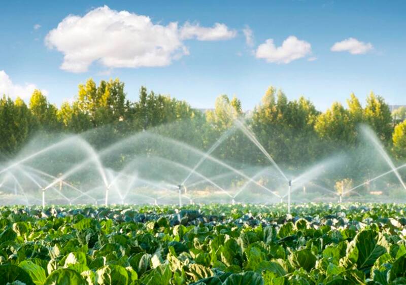 Kilimo ya logró ahorrar 72.000 millones de litros de agua en 44 cultivos.