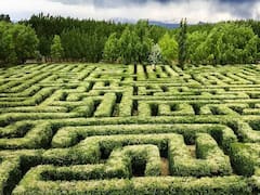 "Laberintos" en la Argentina: los 6 destinos más destacados con este juego a gran escala