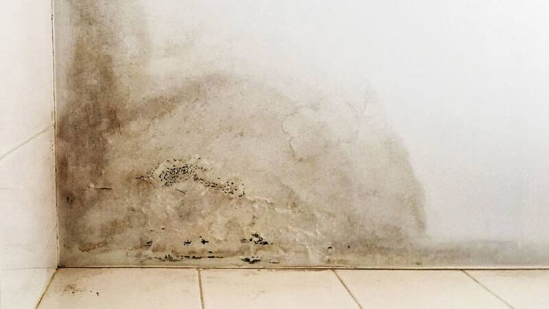 El truco definitivo para quitar las manchas de humedad y el moho pegado a la pared.