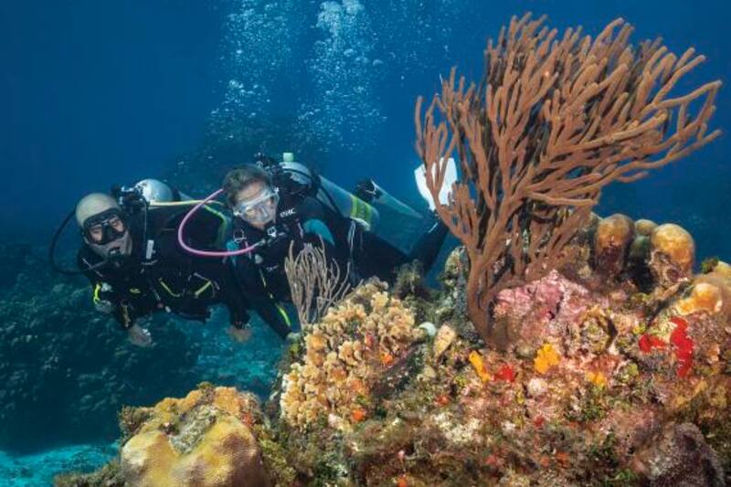 Cozumel, el mejor lugar para snorkel o buceo