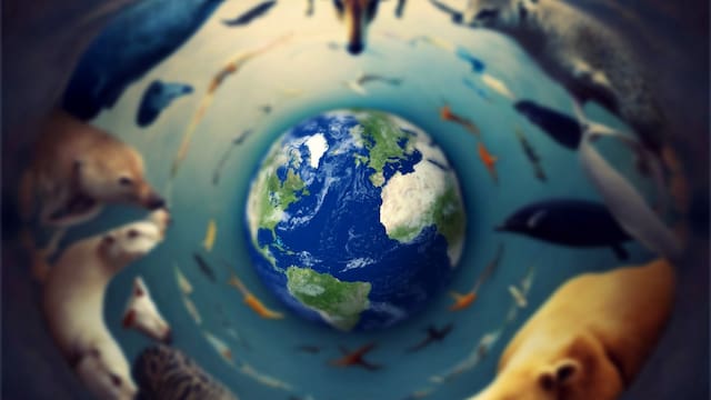 Lo daban por extinto, pero volvió a aparecer después de muchos años: el animal que sorprende a los habitantes de este país