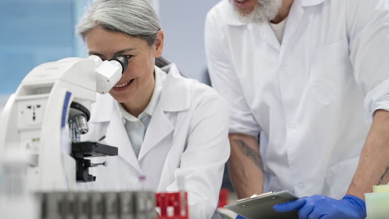 Descubrimiento científico: encuentran un tratamiento para acabar con las enfermedades resistentes a los antibióticos.