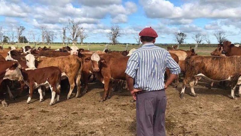 <div class="migrated-promo-image__description"><div class="migrated-promo-image__source">Fuente: Archivo</div></div>