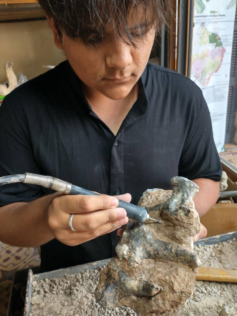 Hallazgo de un armadillo gigante. Fuente: EFE.