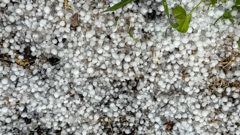 Se espera que varias regiones del país enfrenten tormentas eléctricas y caída de granizo en las próximas horas.