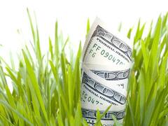 Lluvia de porotos y dólares: la zona núcleo cosechará un 34% más de soja que en 2018