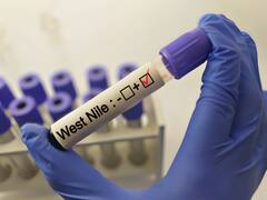 El virus del Nilo se cobró la octava muerte en España y ya es el mayor brote de la historia