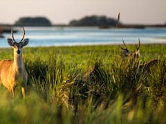 El destino argentino recomendado por The New York Times para visitar en 2022