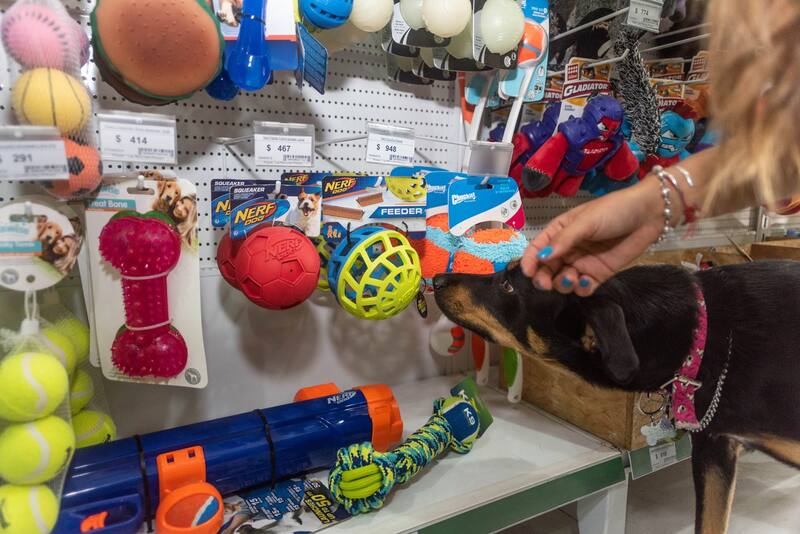 La pandemia multiplicó las ventas