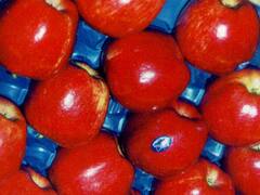 Brasil reabrió la importación de peras y manzanas de la Argentina