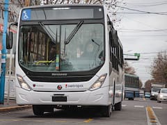 Cambian los colectivos para siempre: dos líneas del AMBA modificarán sus viajes