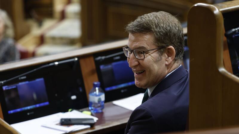 El PP divide al PSOE y a sus socios y triunfa con una moción de política exterior.