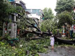 Desastres naturales en 2024: cuáles fueron los peores y las monstruosas pérdidas económicas que dejaron