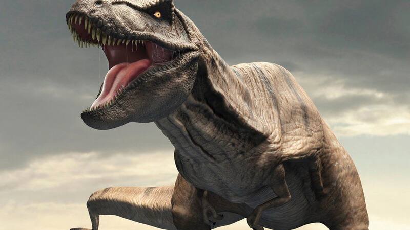 Descubrimiento sin precedentes: encuentran las huellas de dinosaurios más pequeñas del mundo.