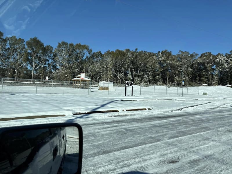 Las nevadas afectaron a estados habitualmente cálidos como Florida.