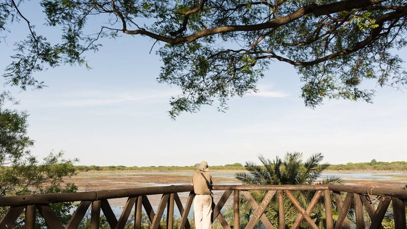 Con expediciones gratuitas y guiadas, este espacio ofrece poder disfrutar y conectar con la naturaleza.