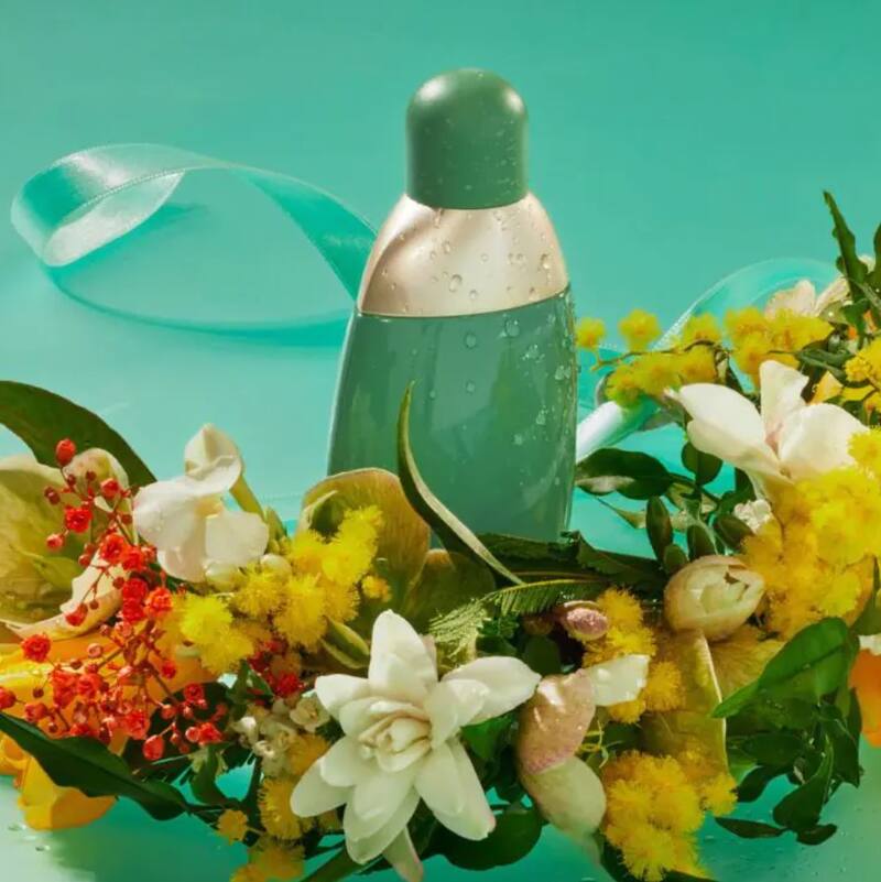 El perfume de imitación ha logrado reflejar un aroma similar al de Eden de Cacharel. (Foto: primor.eu)